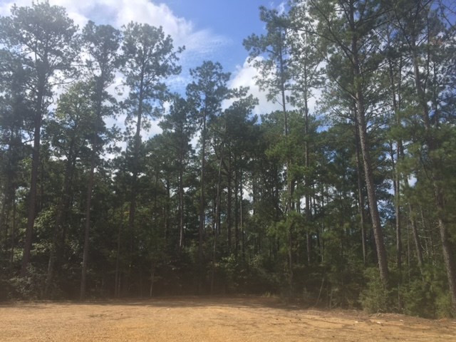 ... Wardlaw Road McComb, MS 39648 - Photo 4 of 7 Photo 4
