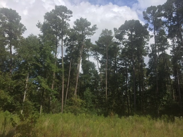 ... Wardlaw Road McComb, MS 39648 - Photo 5 of 7 Photo 5