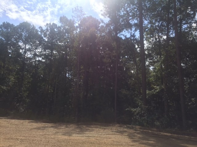 ... Wardlaw Road McComb, MS 39648 - Photo 6 of 7 Photo 6