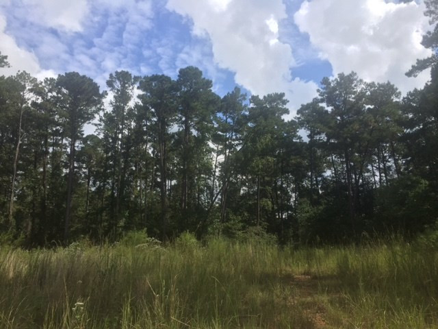 ... Wardlaw Road McComb, MS 39648 - Photo 7 of 7 Photo 7