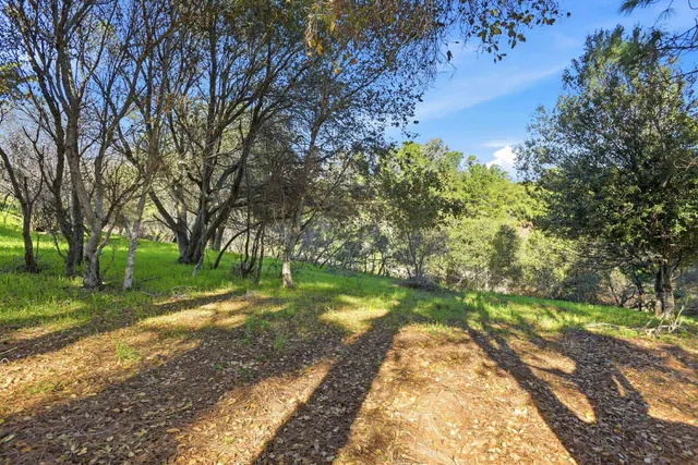 a view of backyard with green space