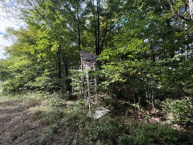 19101 Harrison Street Road Charleston, IL 61920 - Photo 15 of 69 Gallery Image 15