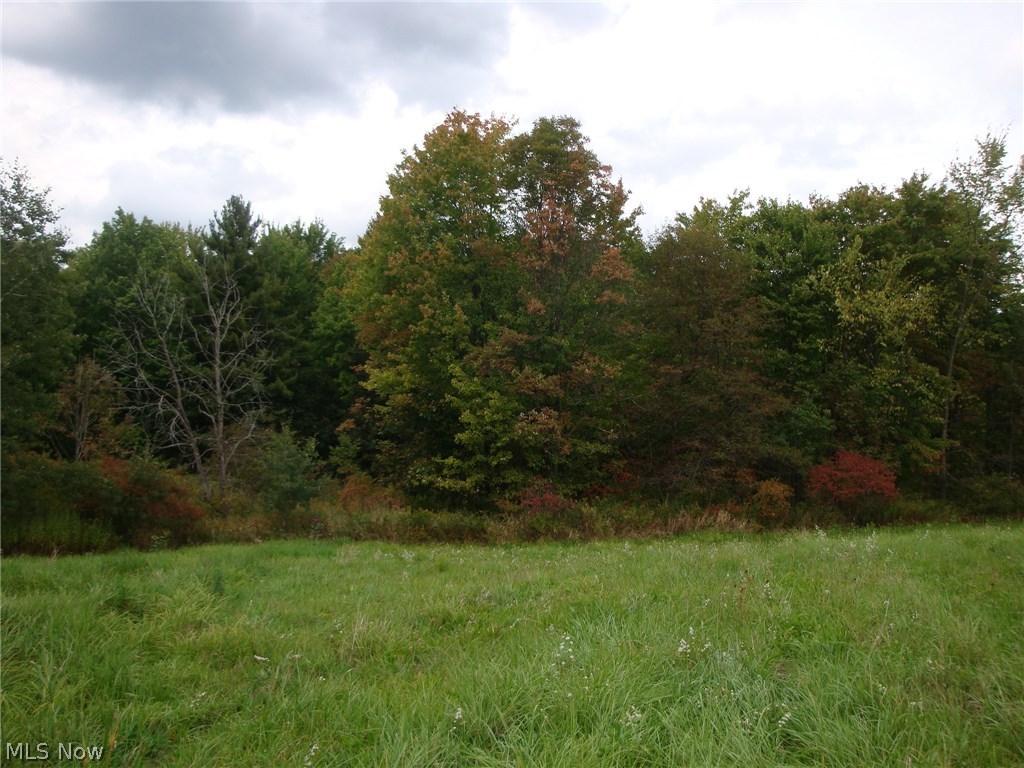 2237 Allen-Comp Road Dorset, OH 44032 - Photo 7 of 17 Gallery Image 7