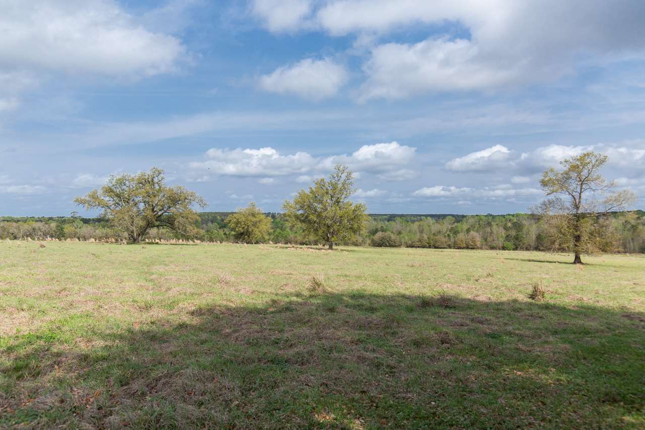 Xx Watermill Road Monticello, FL 32344 - Photo 2 of 35 Gallery Image 2