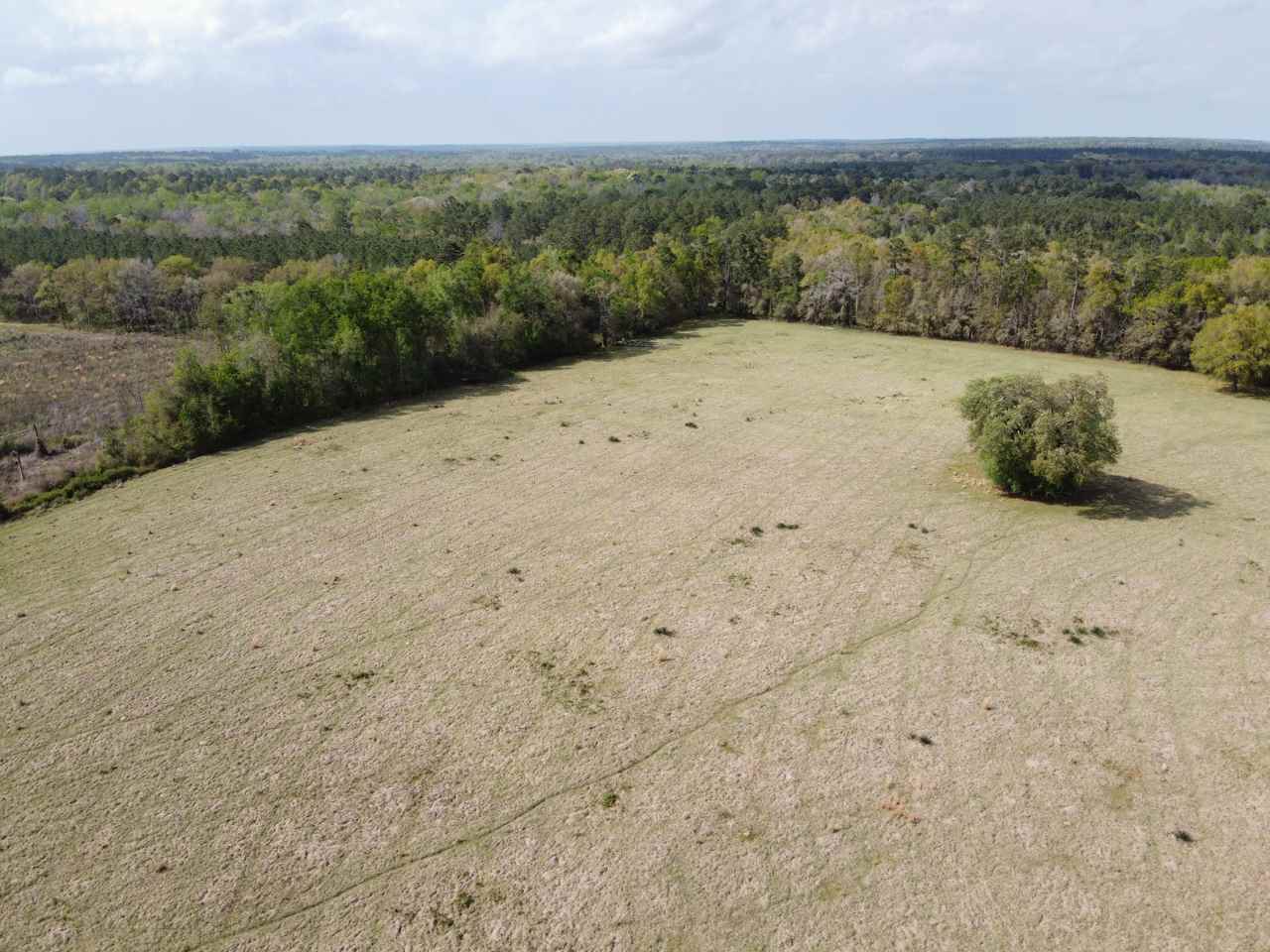 Xx Watermill Road Monticello, FL 32344 - Photo 23 of 35 Gallery Image 23