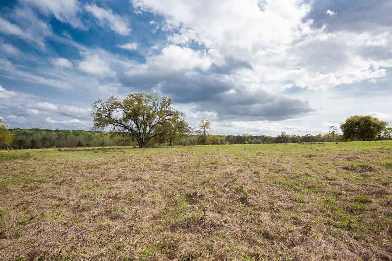 Xx Watermill Road Monticello, FL 32344 - Photo 24 of 35 Gallery Image 24