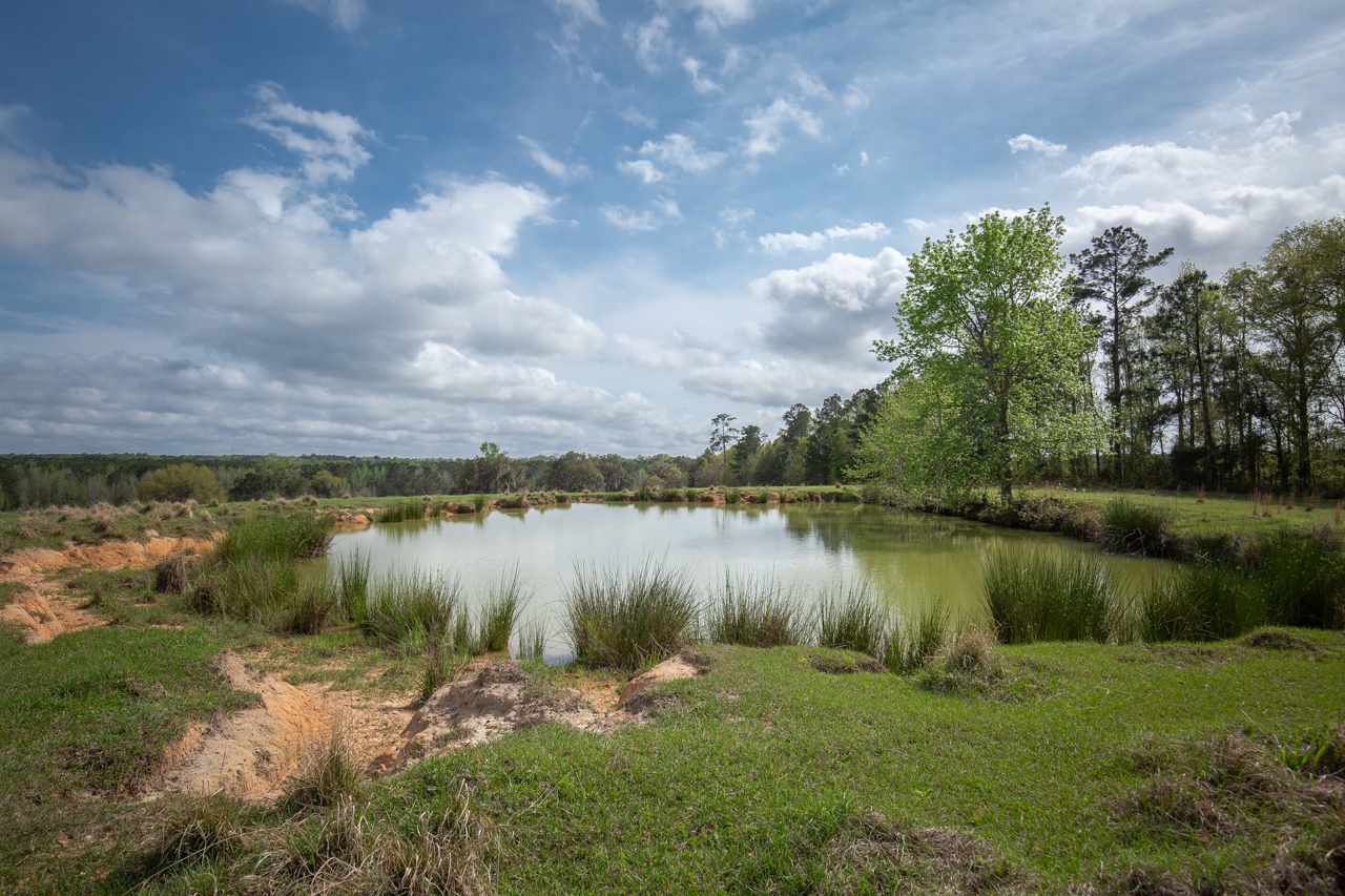 Xx Watermill Road Monticello, FL 32344 - Photo 8 of 35 Gallery Image 8