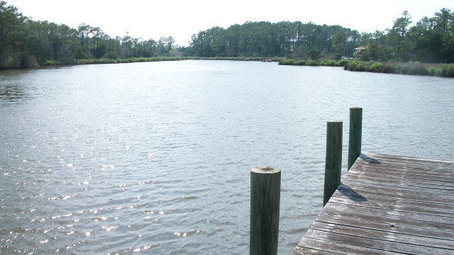 198 Meekins Road Bayboro, NC 28515 - Photo 12 of 16 Additional Photo