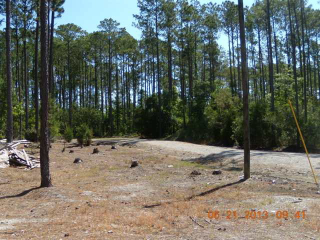 198 Meekins Road Bayboro, NC 28515 - Photo 9 of 16 Additional Photo