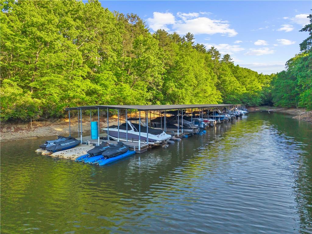 494 River Overlook Road Dawsonville, GA 30534 - Photo 5 of 96