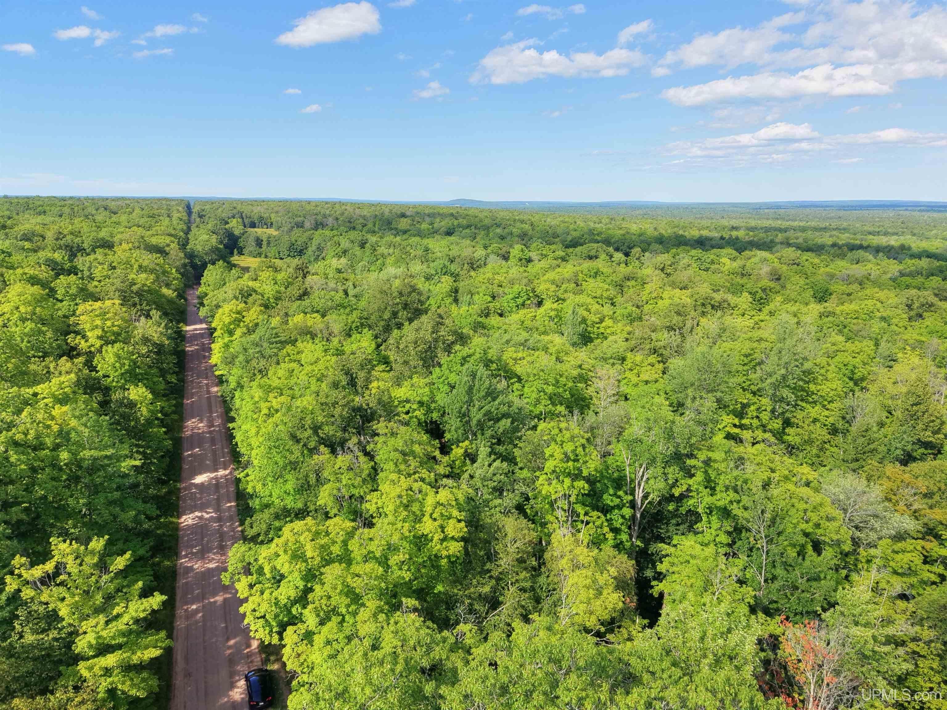 Tbd South Laird Road Pelkie, MI 49952 - Photo 11 of 14 Gallery Image 11