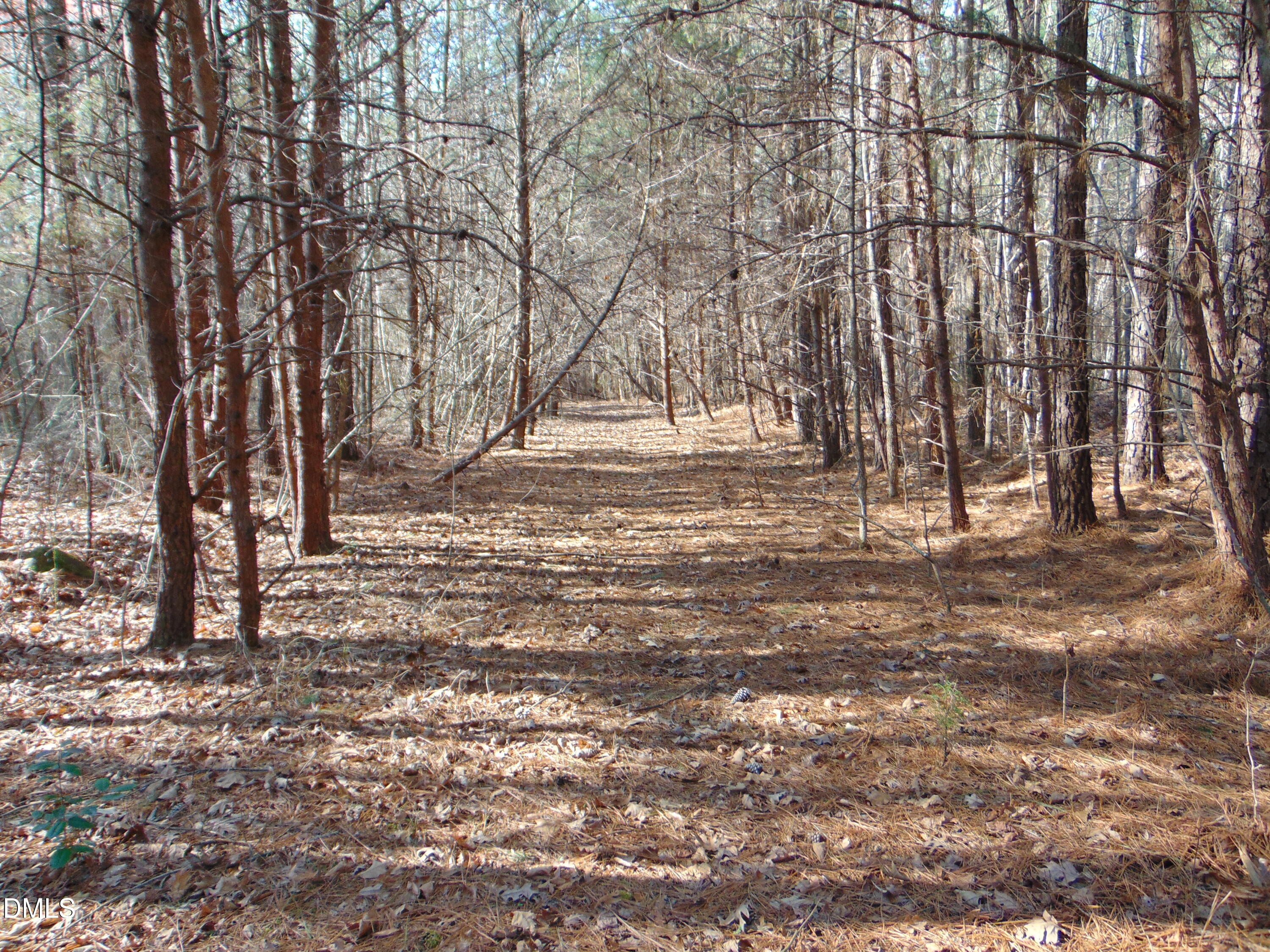 0 Cates Mill Road Roxboro, NC 27574 - Photo 3 of 31 DSC01472