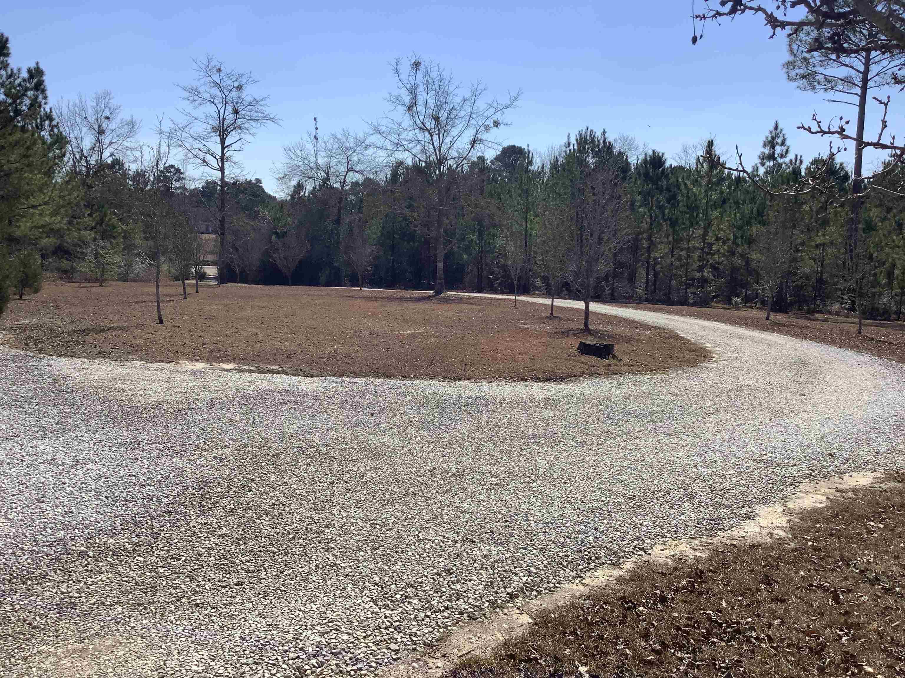 25051 Reaves Road Opp, AL 36467 - Photo 10 of 43 Gallery Image 10
