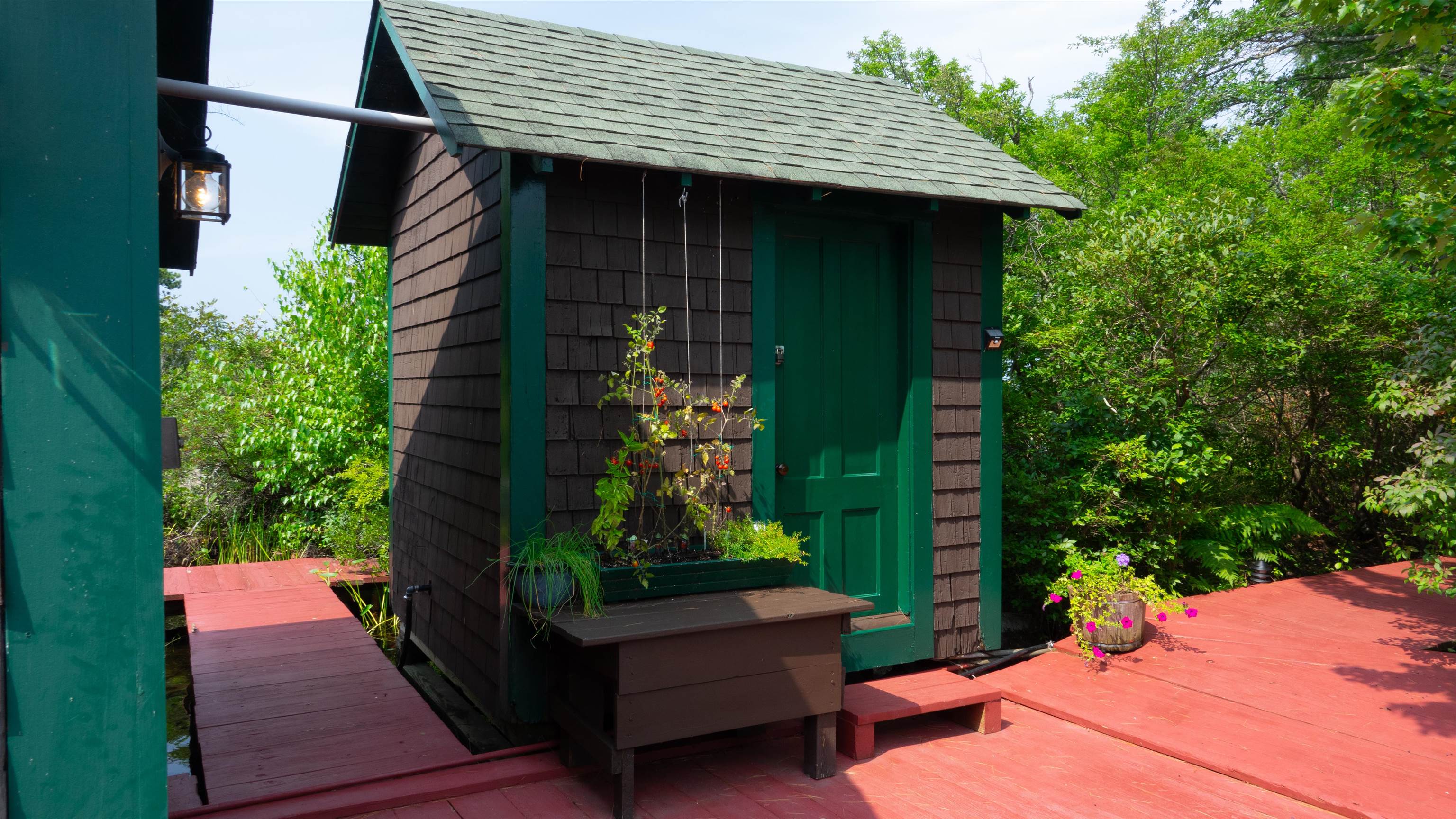 1 Little Beaver Island Meredith, NH 03253 - Photo 18 of 60