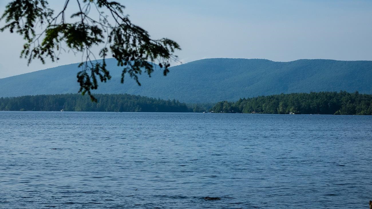 1 Little Beaver Island Meredith, NH 03253 - Photo 20 of 60