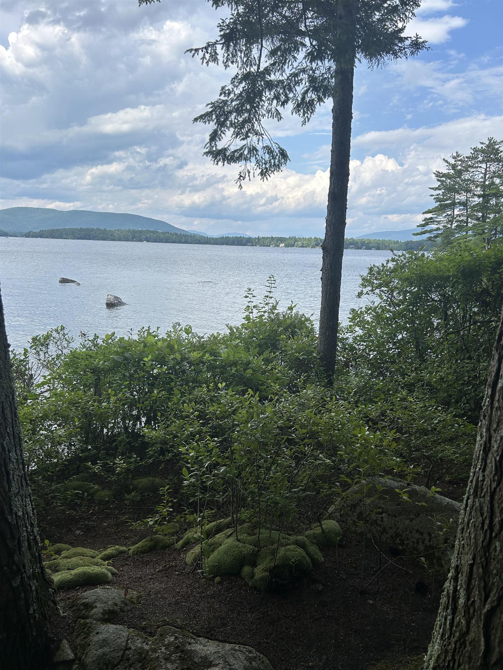 1 Little Beaver Island Meredith, NH 03253 - Photo 21 of 60