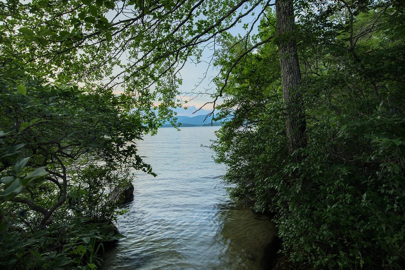 1 Little Beaver Island Meredith, NH 03253 - Photo 35 of 60