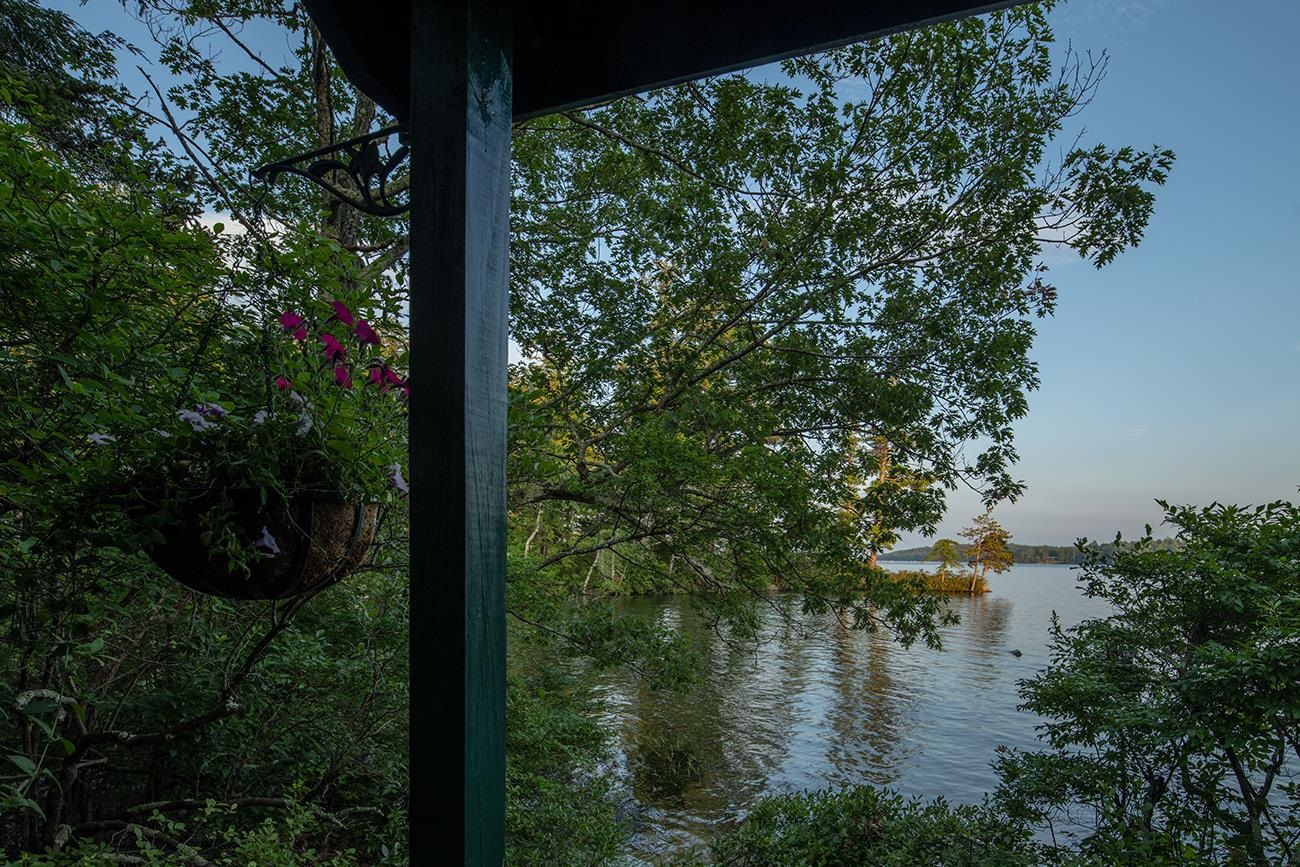 1 Little Beaver Island Meredith, NH 03253 - Photo 40 of 60