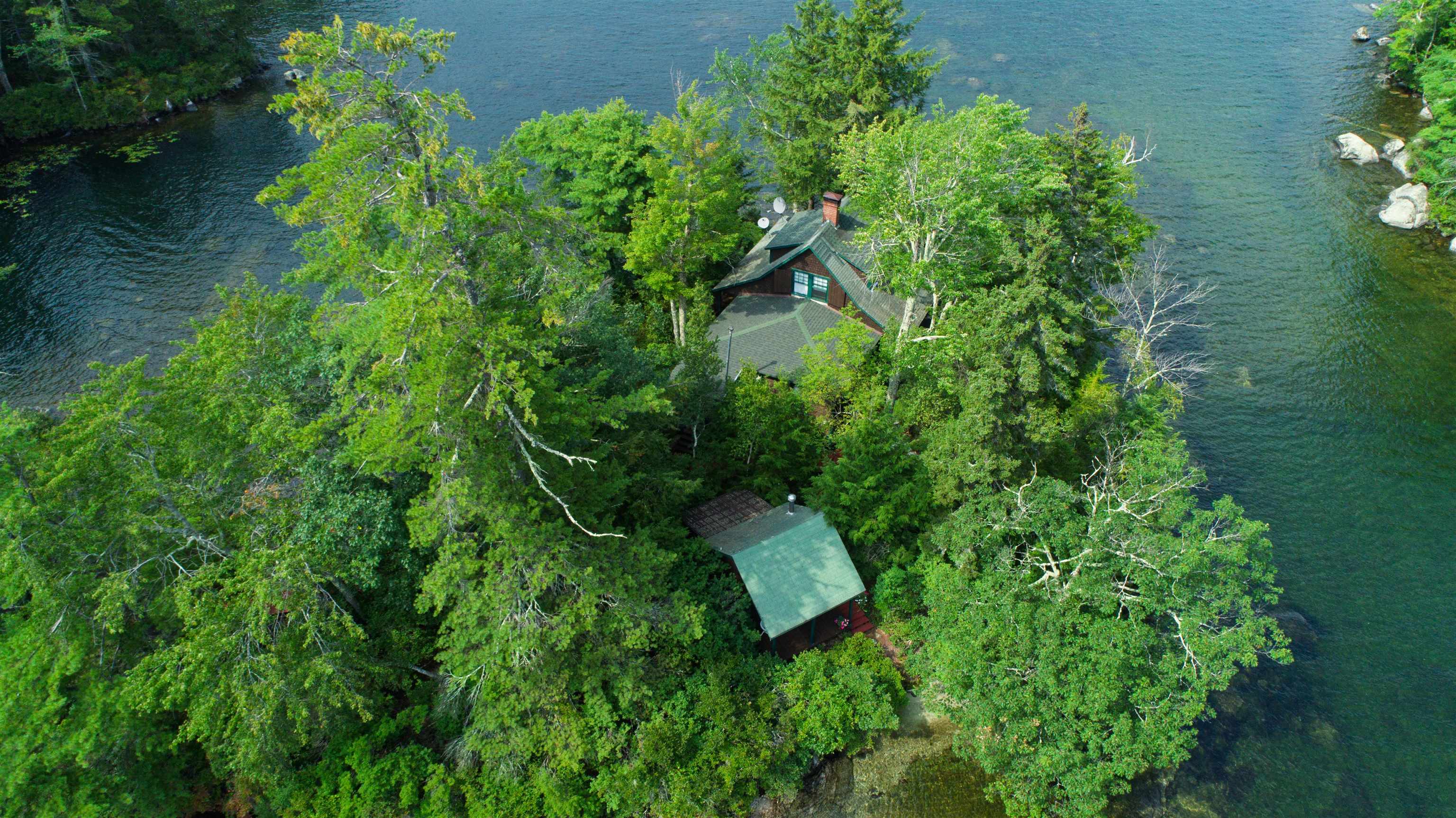 1 Little Beaver Island Meredith, NH 03253 - Photo 4 of 60