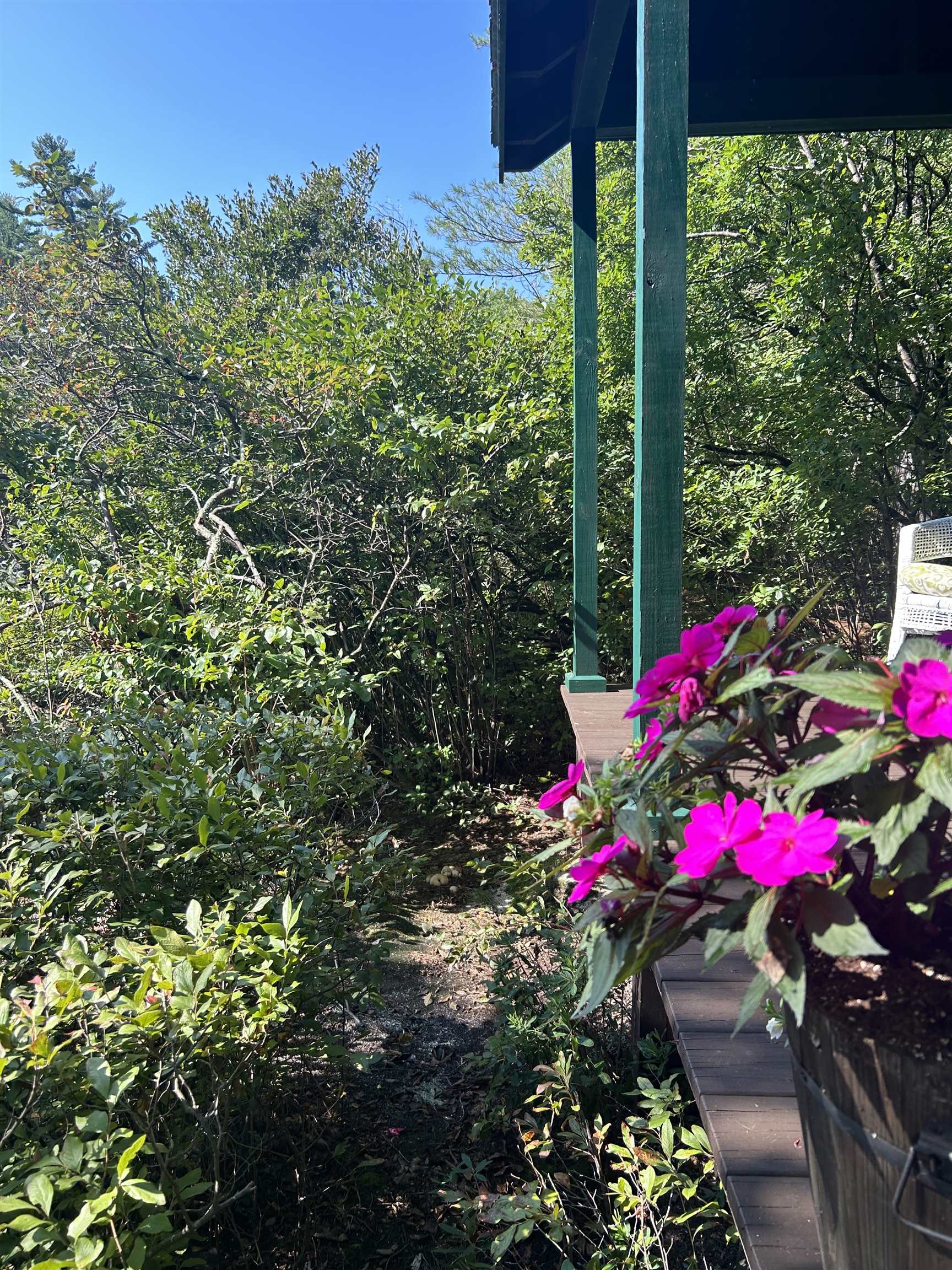 1 Little Beaver Island Meredith, NH 03253 - Photo 41 of 60