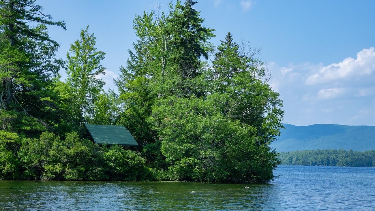 1 Little Beaver Island Meredith, NH 03253 - Photo 42 of 60