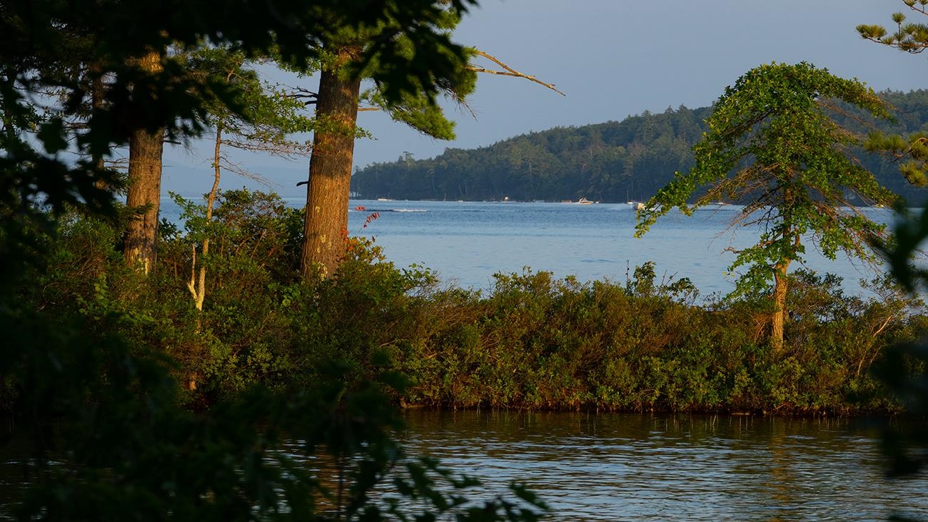 1 Little Beaver Island Meredith, NH 03253 - Photo 43 of 60