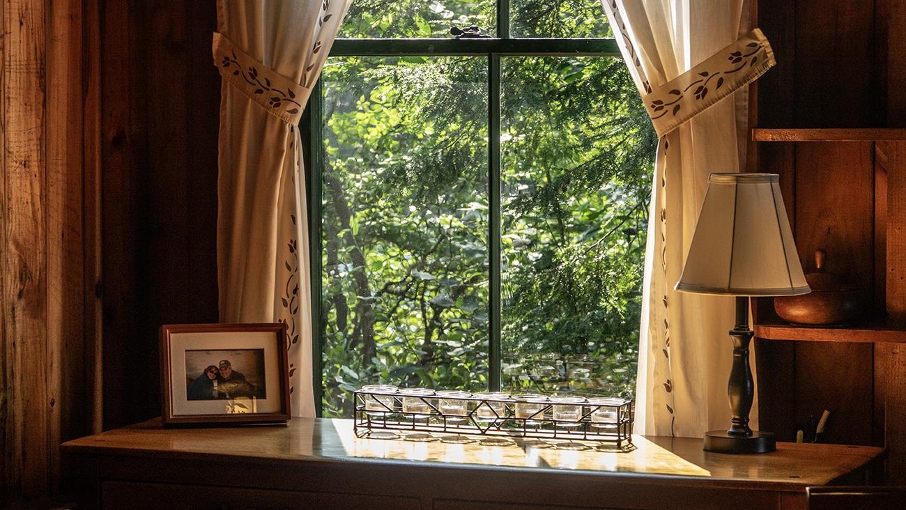 1 Little Beaver Island Meredith, NH 03253 - Photo 52 of 60