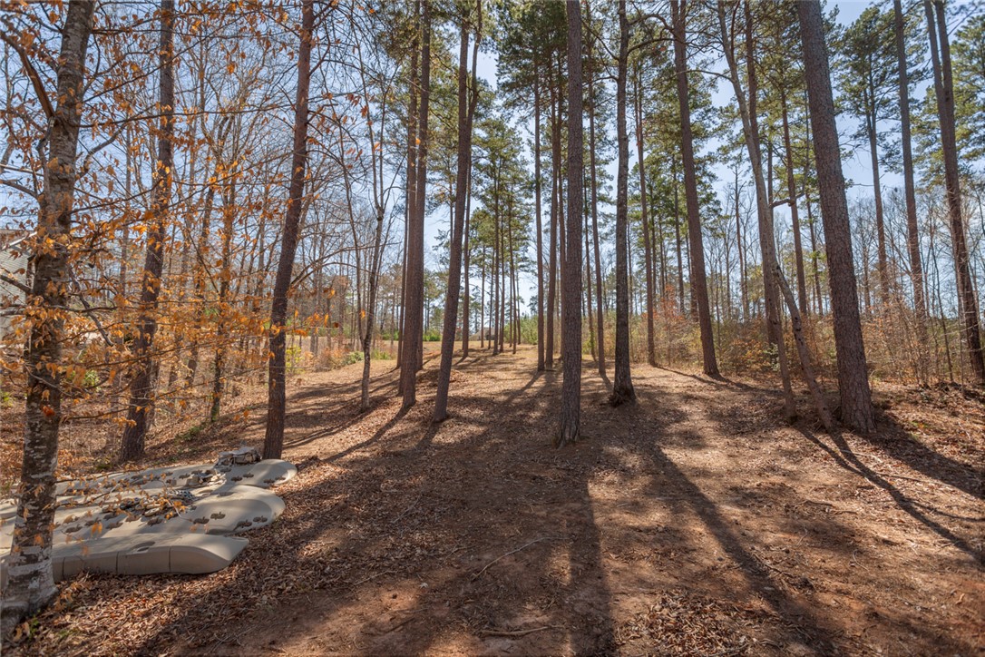 620 Crooked Trace Lane Seneca, SC 29672 - Photo 12 of 20 2 PWC lifts to convey with sell