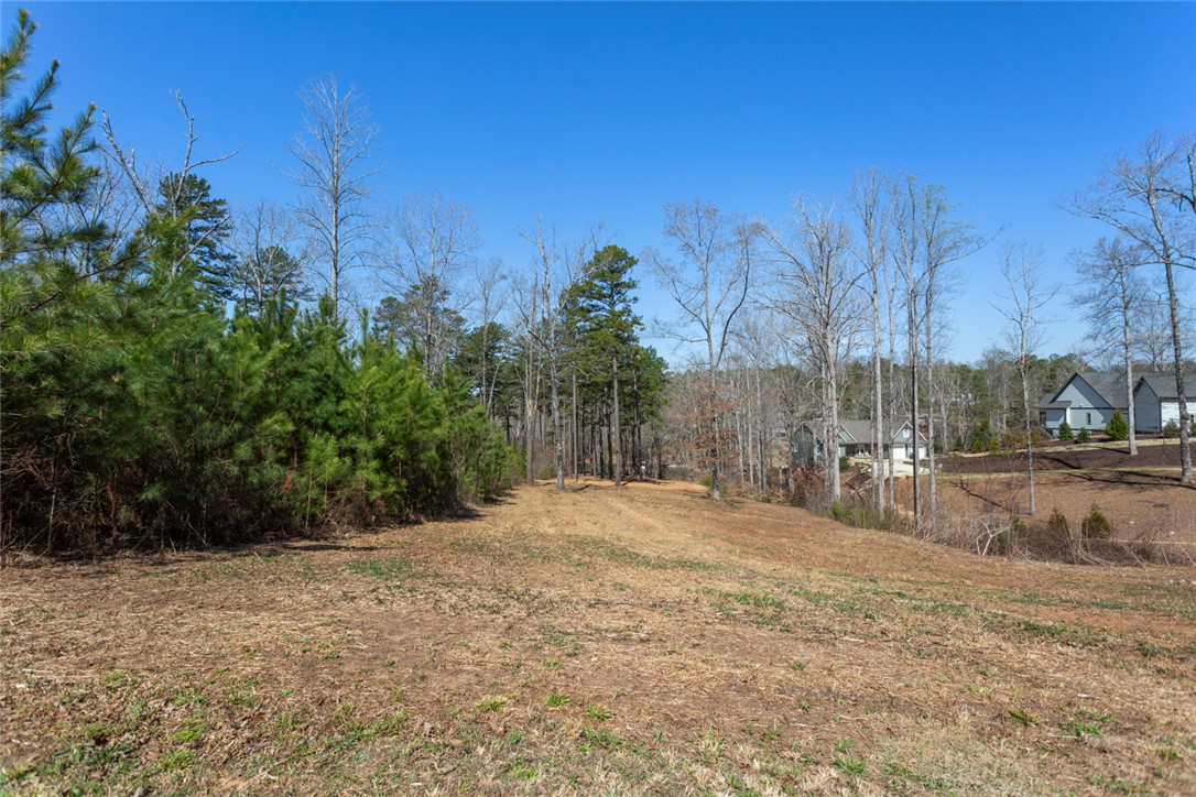 620 Crooked Trace Lane Seneca, SC 29672 - Photo 13 of 20 From the front of lot looking towards the lake