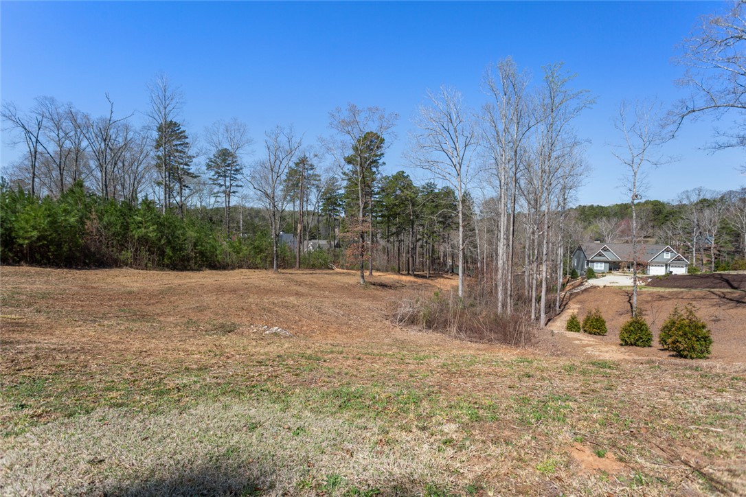 620 Crooked Trace Lane Seneca, SC 29672 - Photo 14 of 20
