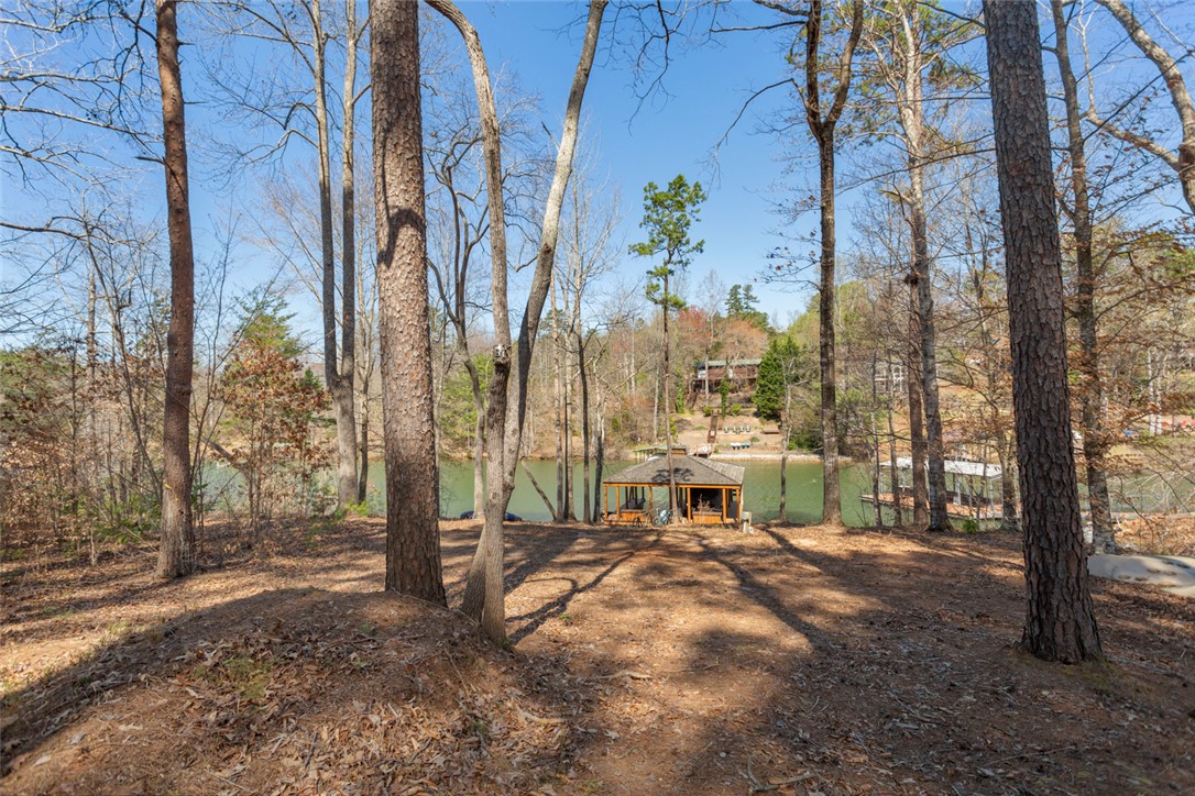 620 Crooked Trace Lane Seneca, SC 29672 - Photo 15 of 20