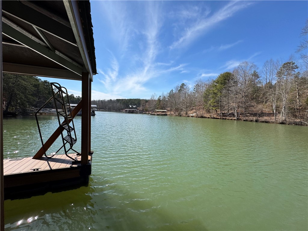 620 Crooked Trace Lane Seneca, SC 29672 - Photo 7 of 20 Lake ladder 1