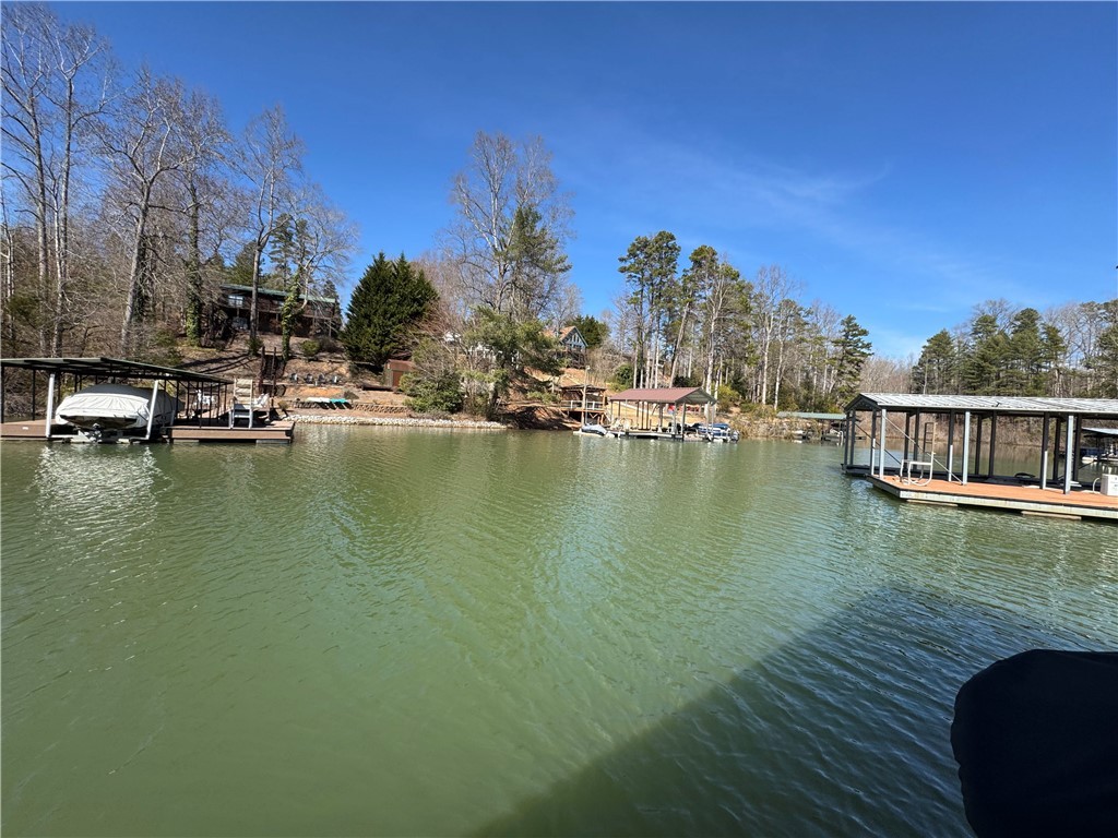 620 Crooked Trace Lane Seneca, SC 29672 - Photo 8 of 20 View to the end of cove