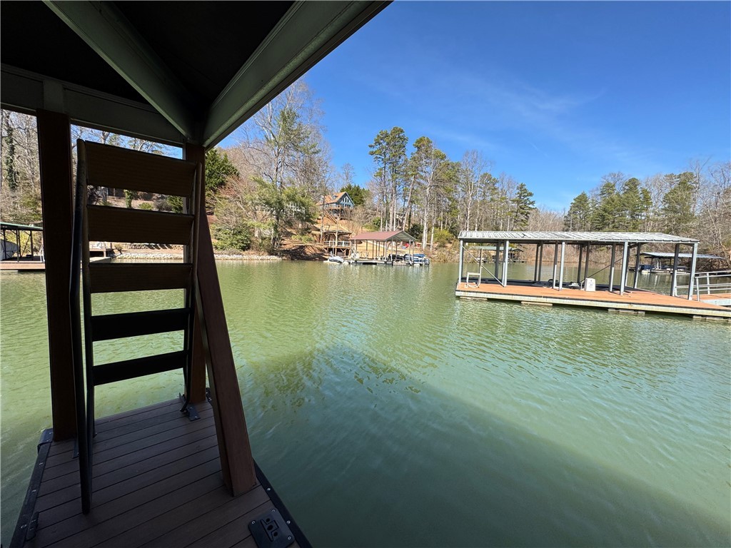 620 Crooked Trace Lane Seneca, SC 29672 - Photo 10 of 20 Lake ladder 2