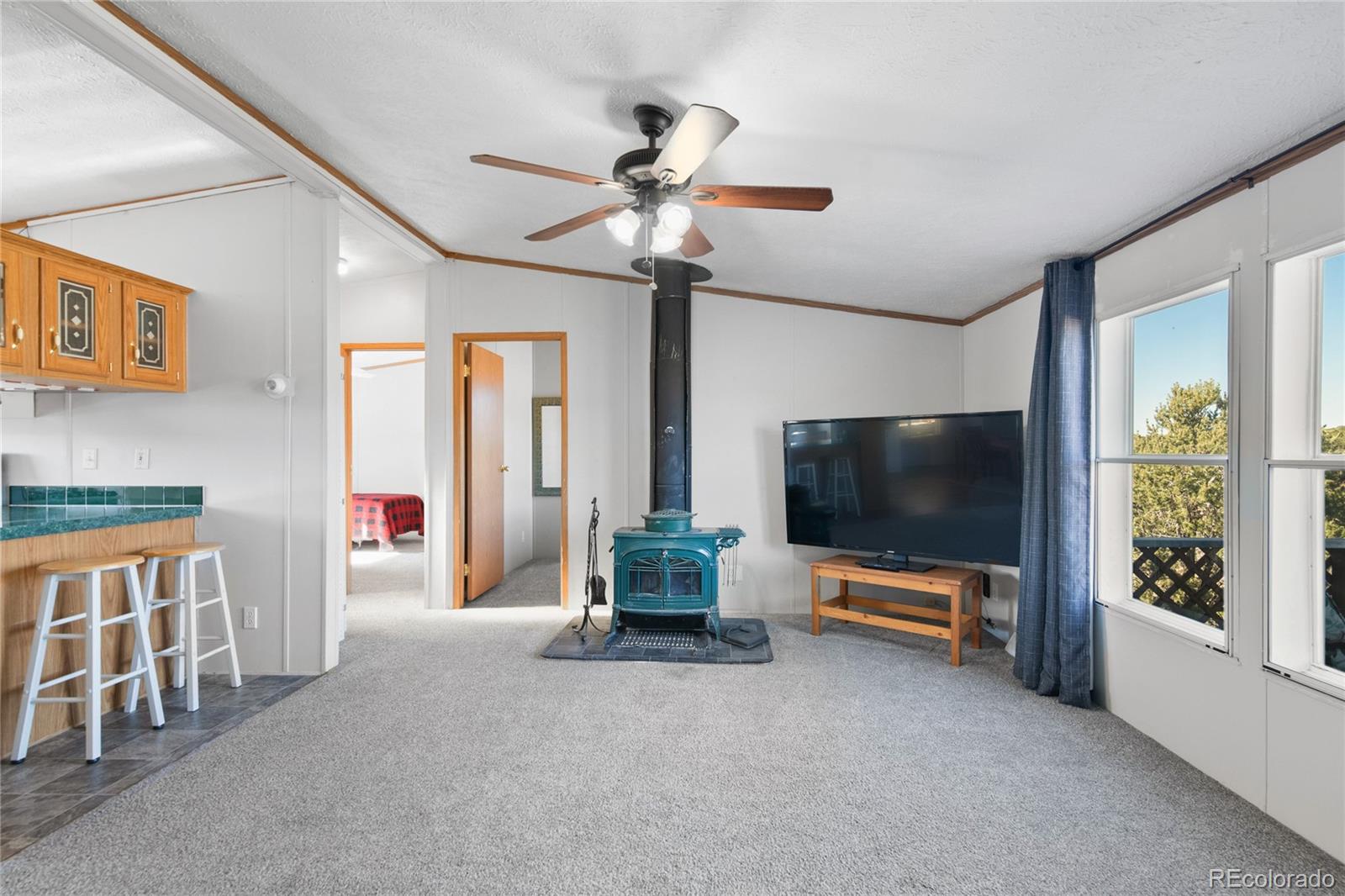 7027 Frelinghuysen Road Fort Garland, CO 81133 - Photo 13 of 47 a living room with furniture and a flat screen tv