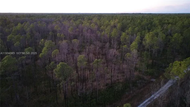 a view of a bunch of trees