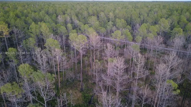 $13,000 | 0 Guzman Avenue, Hastings, FL 32145