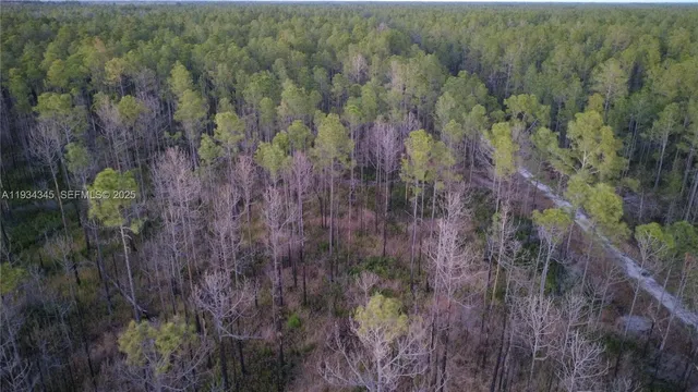 $13,000 | 0 Guzman Avenue, Hastings, FL 32145