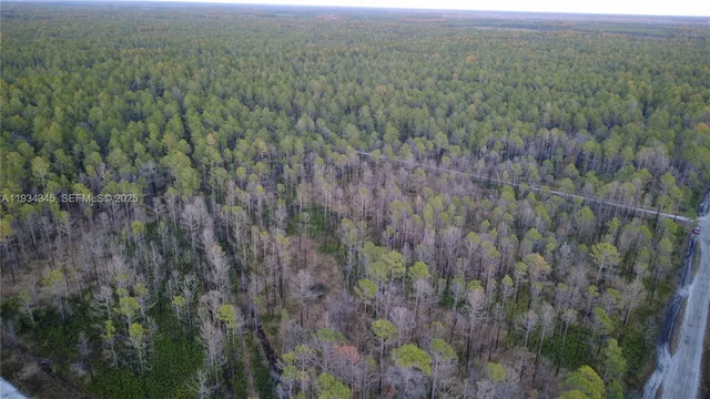 a view of a green field with lots of bushes