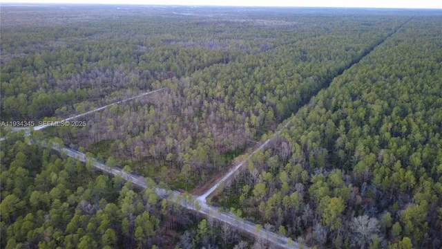 a view of a dry yard