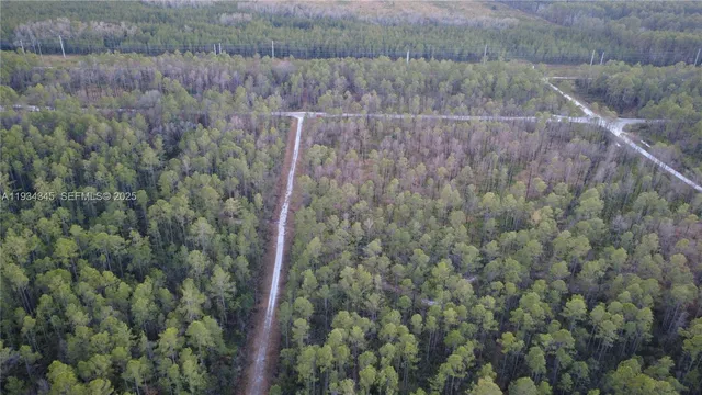 a view of a dry yard