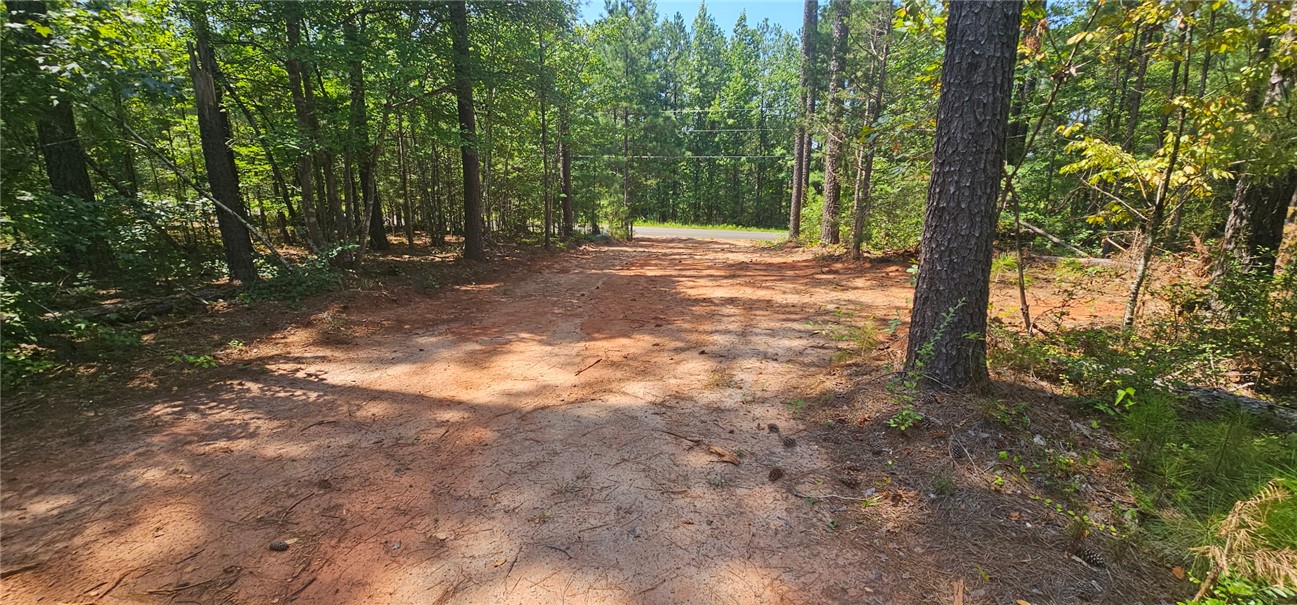 1702 Goings Road Chester, SC 29706 - Photo 22 of 24 Mature trees line this cleared dirt path leading toward the main road.