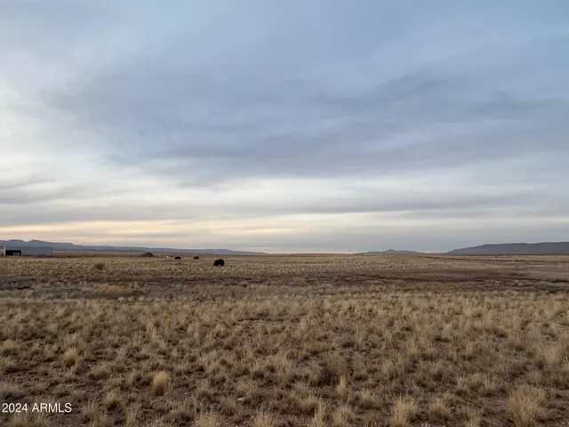 a view of an ocean beach