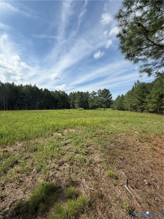 0 Spring Road Rockville, VA 23146 - Photo 4 of 10 Gallery Image 4