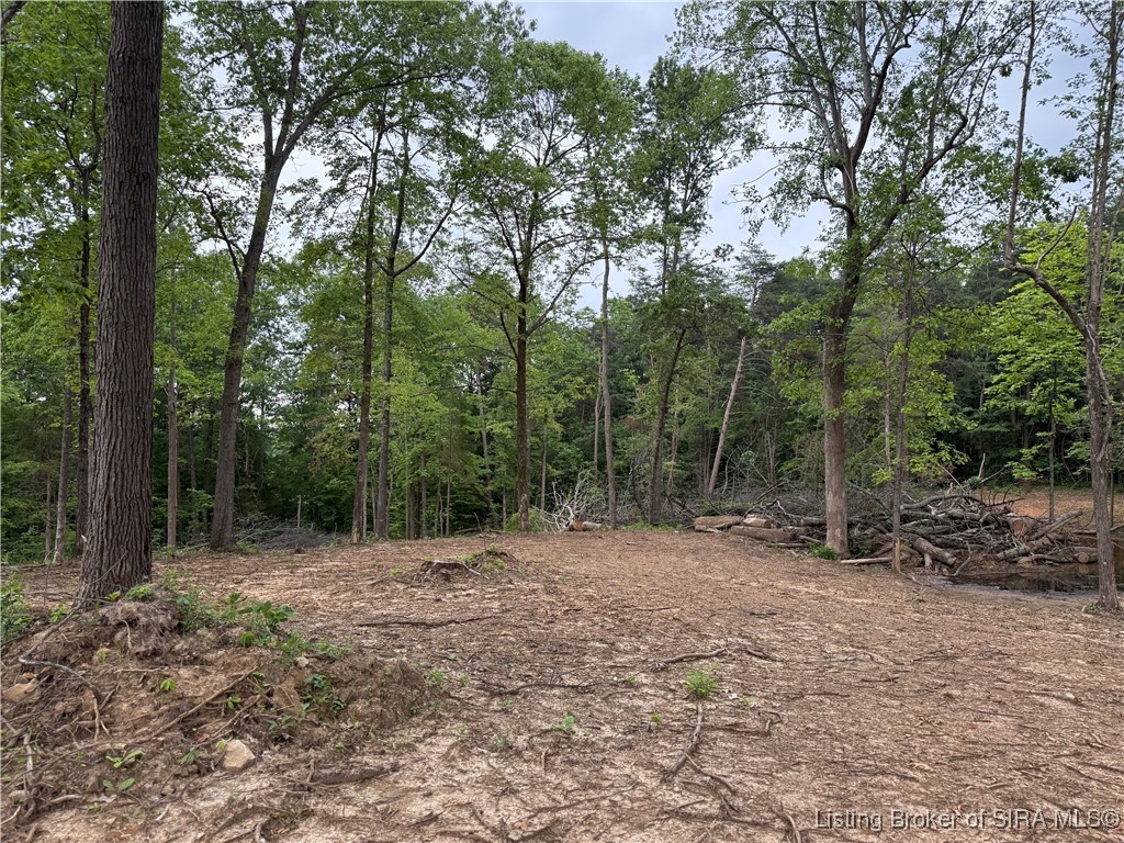 0 Harrison Heth Road Corydon, IN 47112 - Photo 5 of 6 Gallery Image 5