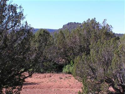 0 South Kahala Ranch Road Ash Fork, AZ 86320 - Photo 3 of 7 Additional Photo