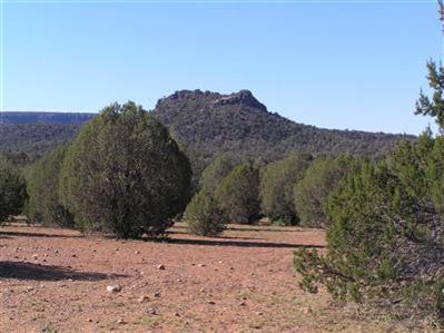 0 South Kahala Ranch Road Ash Fork, AZ 86320 - Photo 5 of 7 Additional Photo