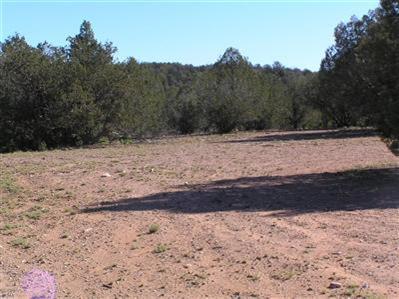 0 South Kahala Ranch Road Ash Fork, AZ 86320 - Photo 6 of 7 Additional Photo