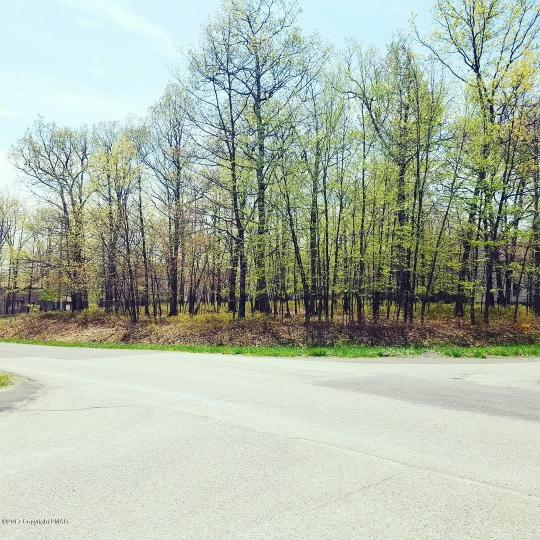 Lot 50 Bindale Road Tamiment, PA 18371 - Photo 1 of 4 IMG_20170504_171500_656