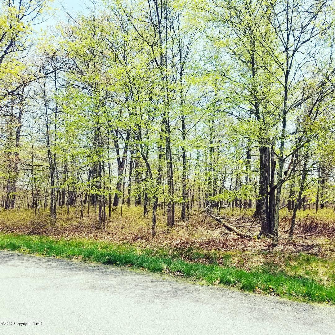 Lot 50 Bindale Road Tamiment, PA 18371 - Photo 2 of 4 IMG_20170504_171500_657